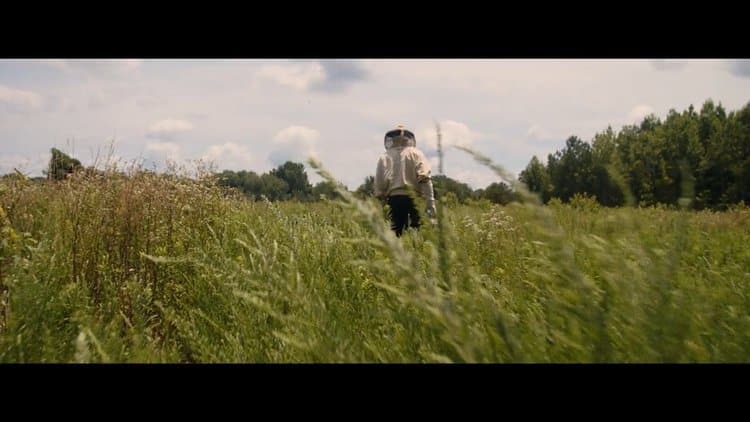 A beekeeper stands amidst tall grass in an open field at Sankofa Farms, showcasing sustainable beekeeping and environmental stewardship.