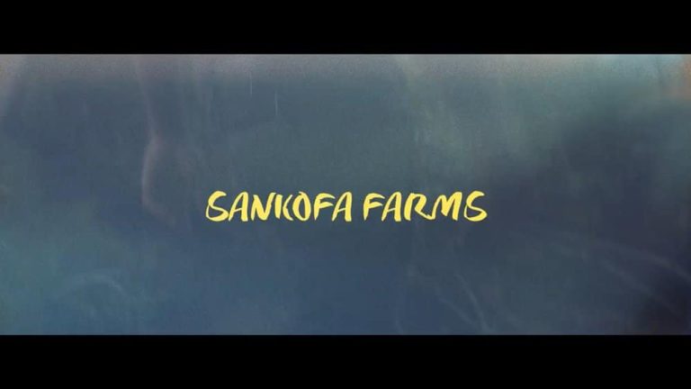 The words "Sankofa Farms" in yellow against a blurred green and blue background, representing the farm's commitment to sustainable agriculture.