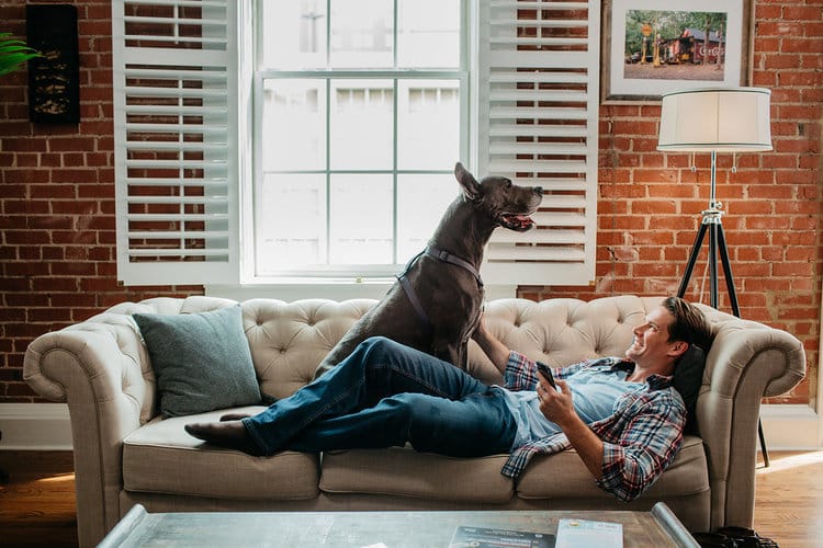 A man lounges on a sofa with his dog in a cozy living room, showcasing a moment of relaxation and financial comfort provided by South State Bank’s services.